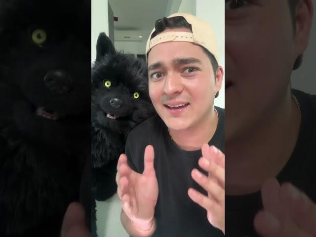 ¿ Mi Perro es un HUMANO DISFRAZADO ?   #shorts
