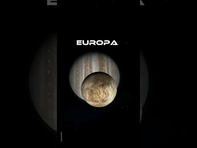 Jupiter ke paas ek chand hai ?  #shorts #ytshorts #sciencefacts #spacefact #solarsystem #facts #yt