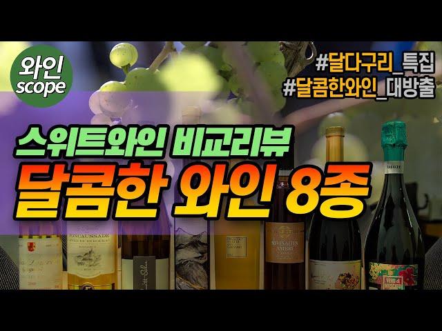 달콤한 와인의 세계 집중 탐구 - 스위트 와인 8종 리뷰