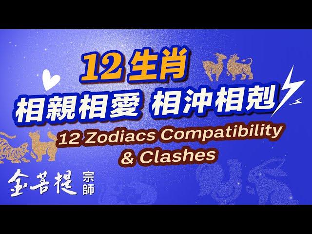 12 Zodiacs: Compatibility and Clashes