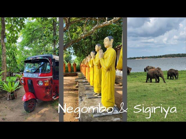 Vlog 14 - Backpacking Sri Lanka // Negombo & Sigiriya