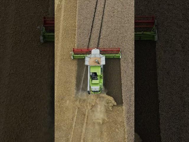 Комбайн Claas 770