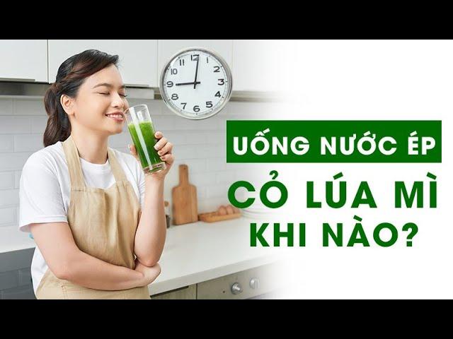 Nên uống nước ép cỏ lúa mì khi nào?