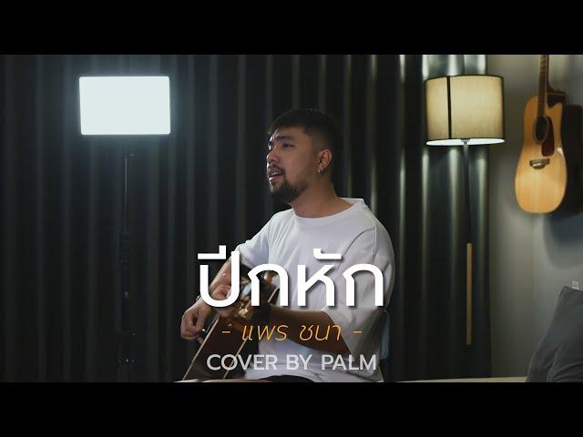 ปีกหัก - PRAE CHANAA (Cover by Palm)
