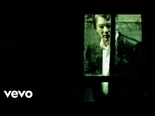 Alain Bashung - La nuit je mens