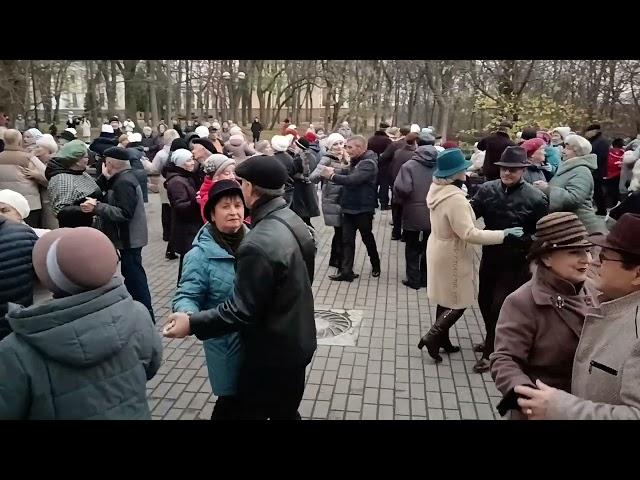 Гомельская осень......... 17.11.24 Гомель парк Луначарского 