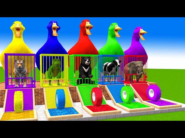 5 Giant Duck Cartoon,Cow,Elephant,Dinasaur,Tiger,Bear Paint Wild Animals Crossing Fountain Animation