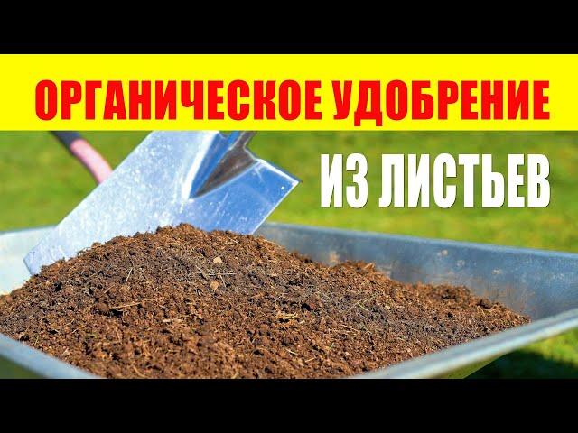 Органическое Удобрение Из Листьев. Органическое земледелие