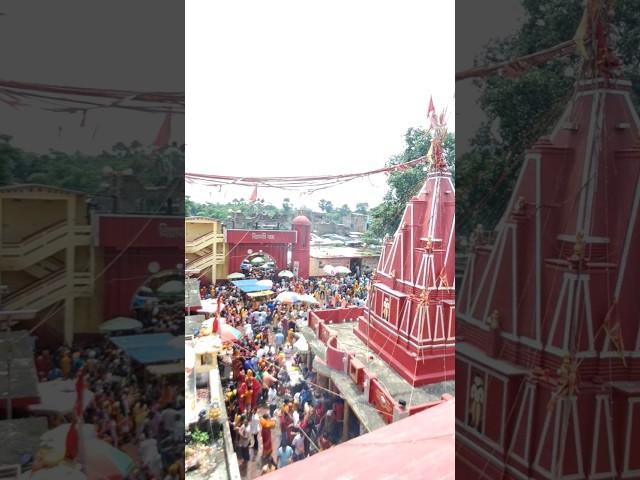 vidyapati Dham #VidyapatiDham #shortvideo #ytshorts #shorts #short