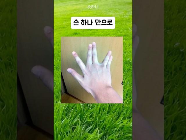 손으로 알 수 있는 성격 두뇌 테스트 퀴즈