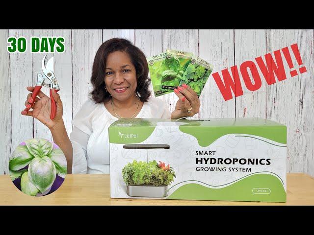 From Seed to Harvest in 30 days using the LetPot Hydroponics Growing System