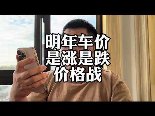 明年的车价还会降吗？#车企降价 #汽车价格战 #新能源汽车