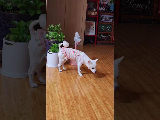 아침루틴