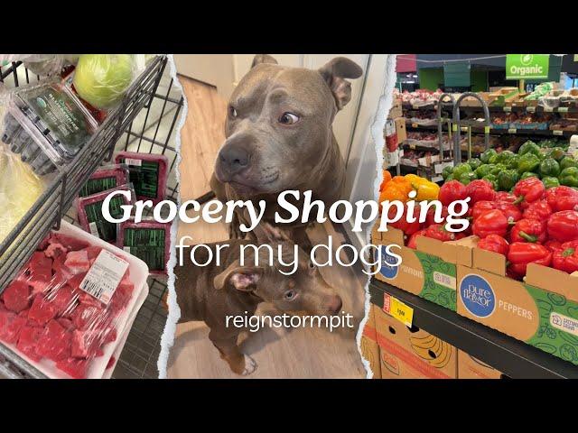 ASMR Grocery Shopping & Cooking For My Dogs