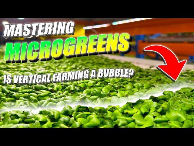 Is Vertical Farming A Bubble?