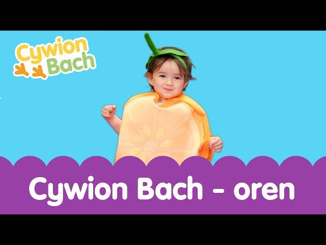 Cywion Bach - Oren  | Welsh Toddler - Learn First Welsh Words Orange 