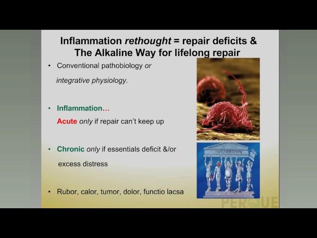 PERQUE Cardiovascular Health Part 1 Introduction & Principles