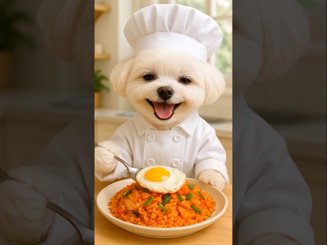밍키쉐프의 김치볶음밥 Minky Chef's kimch fried rice #요리하는강아지 #ai요리 #aidogchef #ai요리사 #강아지모델