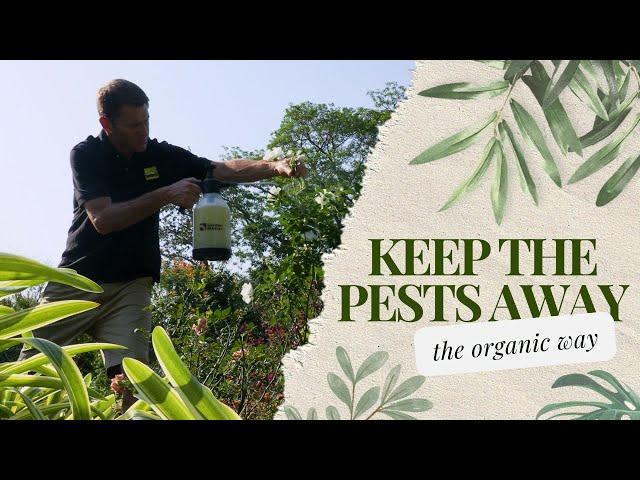 Insect Intelligence: Keeping Your Garden Safe From Pests