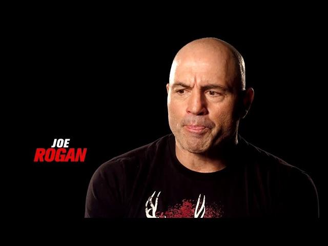 Fight Night Halifax: Lewis vs Browne - Joe Rogan Preview