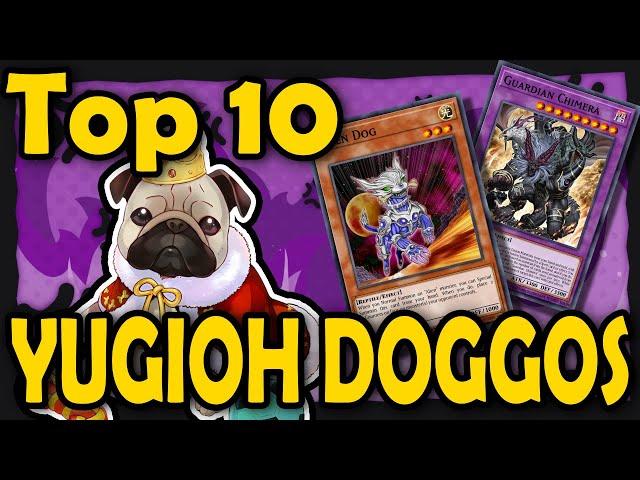 Top 10 Yu-Gi-Oh Dogs (only good boys & girls)