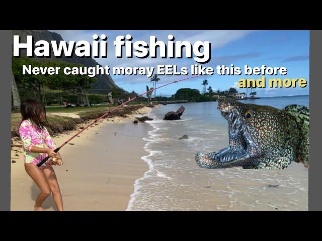 Never seen an EEL catch like this before. Hawaii Eels, Papio & more. #hawaiifishing #eel #fishing