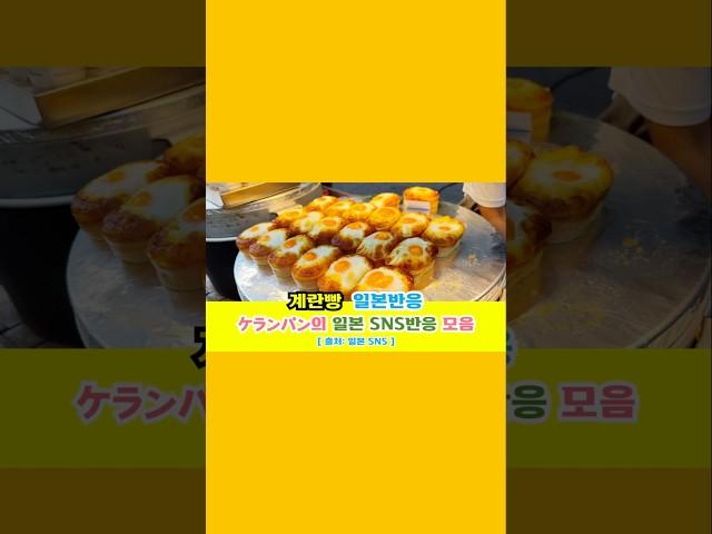 일본반응 | 계란빵(ケランパン)의 일본 SNS반응 모음#일본반응#해외반응#중국반응#외국인반응