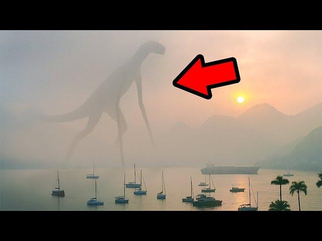 When Crazy Creatures Caught On Camera Break The Internet