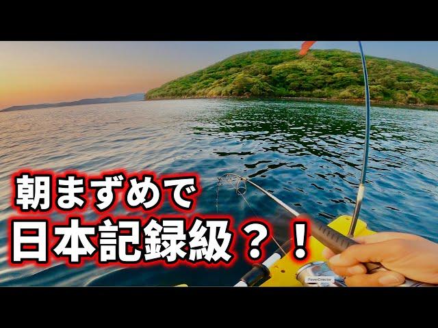 申請したら日本記録⁉︎ 本日も満足釣果で至福の二馬力ボート！