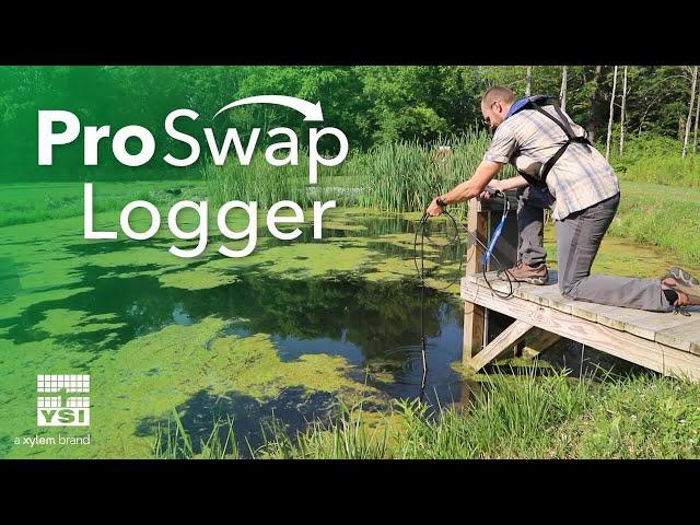 ProSwap Logger Overview