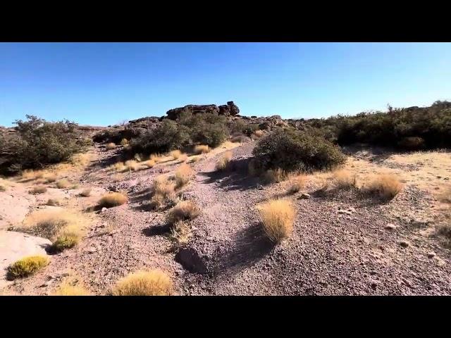 Johnimals Junction Hike on a Sunny Arizona day.  December 20, 2024