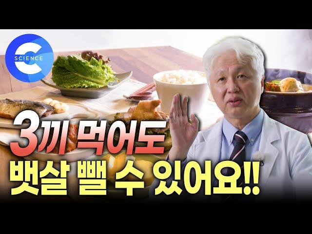 세끼 식사를 정량으로 먹으면 살이 빠진다고? 잘 먹고 잘 빼는 법   운동 | 다이어트 | 복부비만