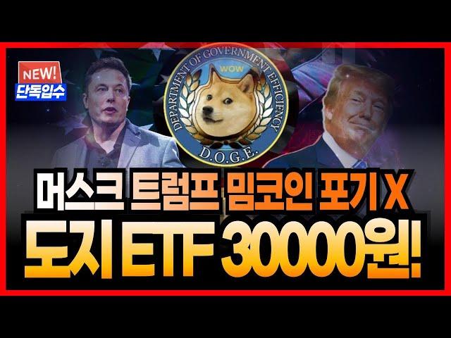 [도지코인 DOGE] 일론 머스크와 트럼프는 밈코인을 포기할 수 없다! 도지 ETF는 30000원까지 가격 폭등을 만들 것