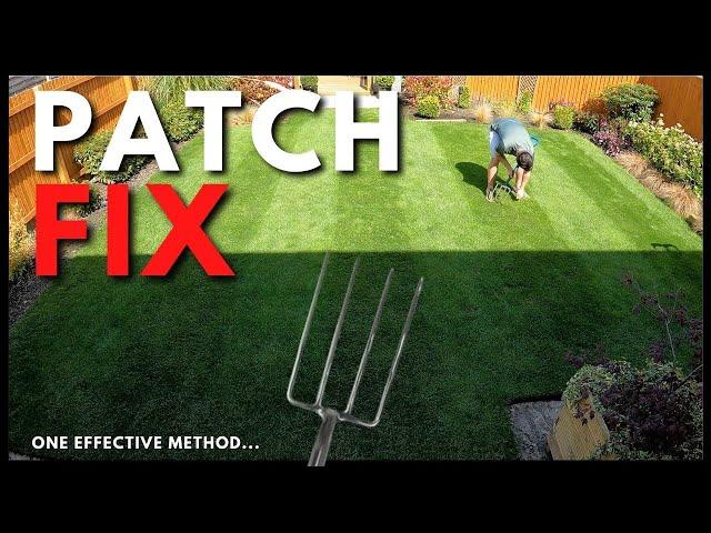 New Grass Seed Growing PATCHY?? - Let's Repair It