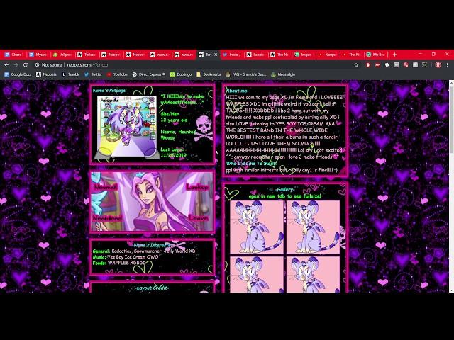 Early 2000's Myspace Custom Layout styled Neopets petpage code