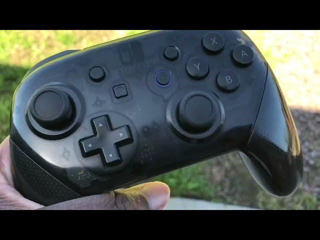 Normal Nintendo Switch Pro Controller At School