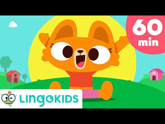 LINGOKIDS LISA BEST SONGS  Dance and Learn with LISA the Cat!