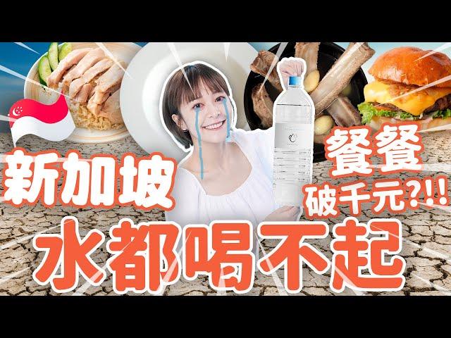 一盤海南雞飯就要500 元…新加坡美食吃一輪會不會破產要花多少錢… #新加坡 #旅遊 #美食 #推薦