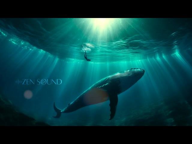 Deep Underwater Journey – Healing Meditation Music | Water Koshi Wind Chimes Meditation & Calm Whale