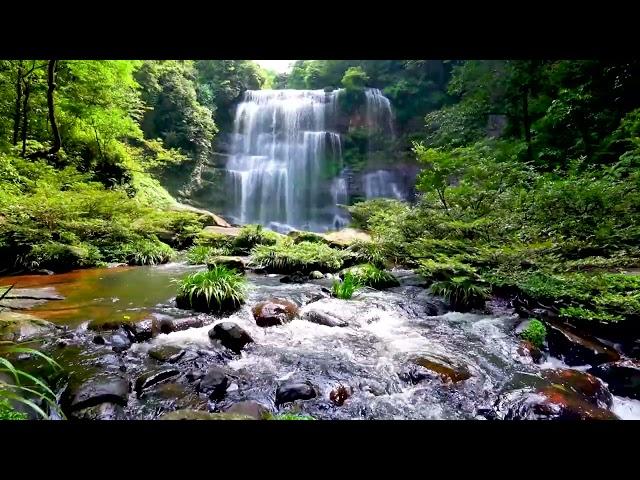 Cascade & Stream flowing in the Forest. Mountain Stream Nature Sounds for Sleep and Relaxation.