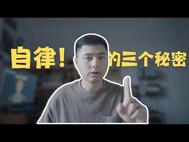 TED爆火演讲---自律的三个秘密！三招让你学会自律！