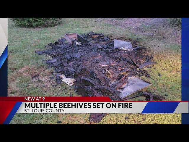 Police investigating after multiple beehives set on fire in St. Louis County