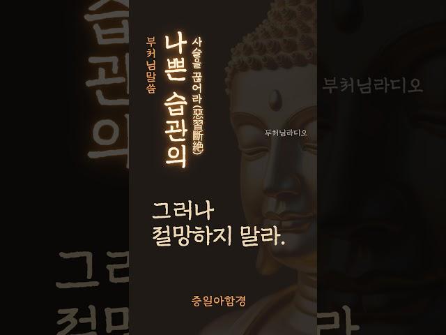 나쁜 습관의 사슬을 끊어라(惡習斷絶) | 습관은 처음에는 거미줄이지만 나중에는 쇠사슬이 된다 | 부처님말씀 | 석가모니명언 | 인생지혜 | 명상의말씀