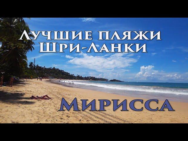 Пляжи Шри-Ланки: лучший пляж острова? Мирисса бич/Mirissa beach