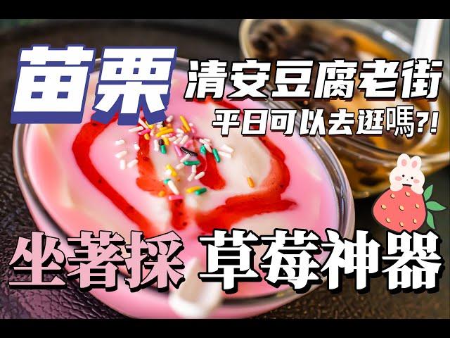 【老街系列】ep.6【假日-清安豆腐街】這7家必吃美食景點．大湖採草莓．台灣旅遊美食．苗栗泰安清安豆腐老街．洗水坑．大湖烤蛋．小吃．豆花．Taiwanese Street Food．真愛草莓農場．