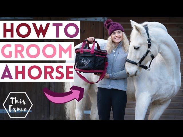 How to Groom a Horse + What's in my Grooming Kit + Tips for Grey Ponies AD | This Esme