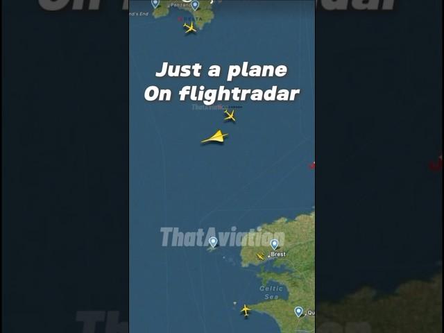 Those who know.. #aviation #concorde #speedofsound #flightradar24 #flight
