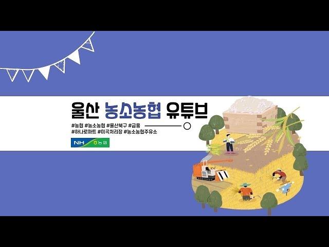 농소농협 하나로마트 변검마술쇼 LIVE