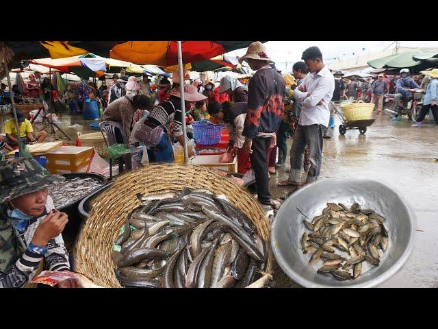 Amazing 9 Kilometers Fish Market Scene - Plenty Alive Fish, Rural Fish, Crab, Sanil, Eel & Seafood