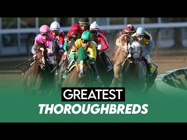 Legends of Horse Racing: TOP 10 Greatest Thoroughbreds of All Time